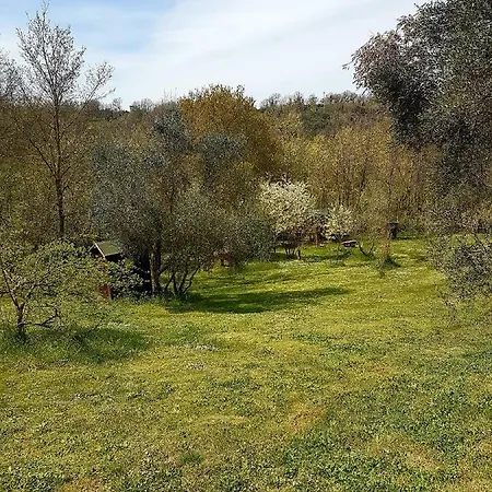 Rifugio Di Campagna * Vitorchiano